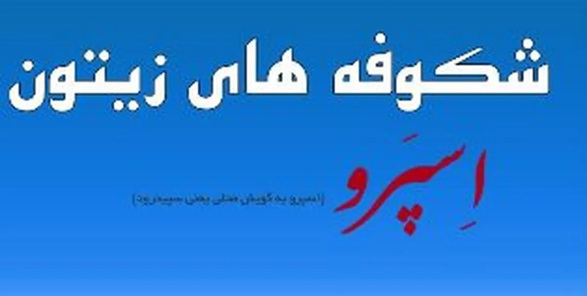 پایگاه اطلاع رسانی شکوفه‌های زیتون رودبار رونمایی شد