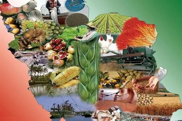 برآورد نیاز ۱۸۰ میلیون تن غذا تا سال ۱۴۳۰/ راهبرد ایجاد ۱۵۰ مزرعه نوآوری تا پایان امسال