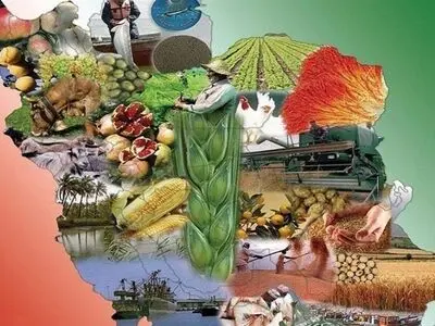 برآورد نیاز ۱۸۰ میلیون تن غذا تا سال ۱۴۳۰/ راهبرد ایجاد ۱۵۰ مزرعه نوآوری تا پایان امسال