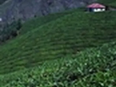 برخورد جدی با تخریب و تصرف غیر‌قانونی اراضی