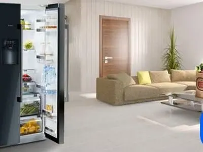 همه چیز درباره ساید بای ساید بوش