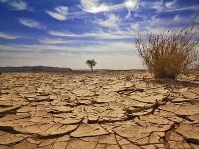 اختصاص ۳۵۰ میلیون دلار برای انتقال آب کشاورزی به اراضی سیستان
