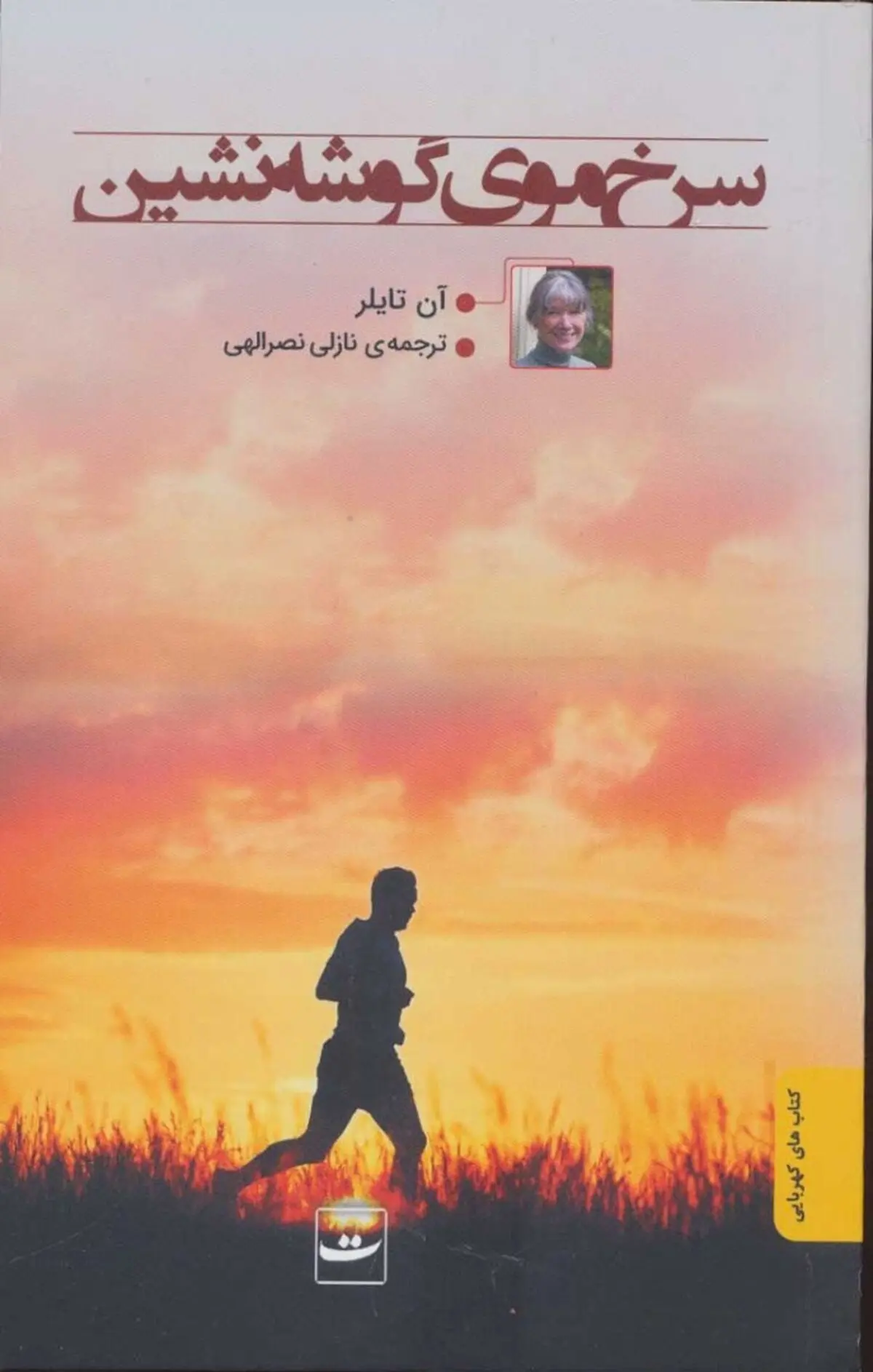 زندگی رخوت آمیز یک مرد در رمانی از  «آن تایلر»