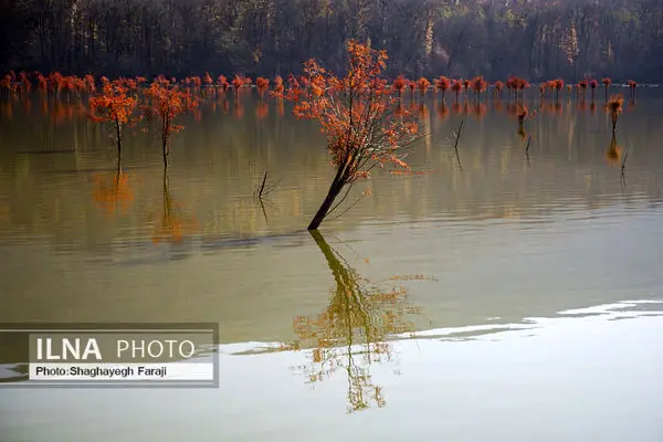 پاییز در دریاچه الندان ساری