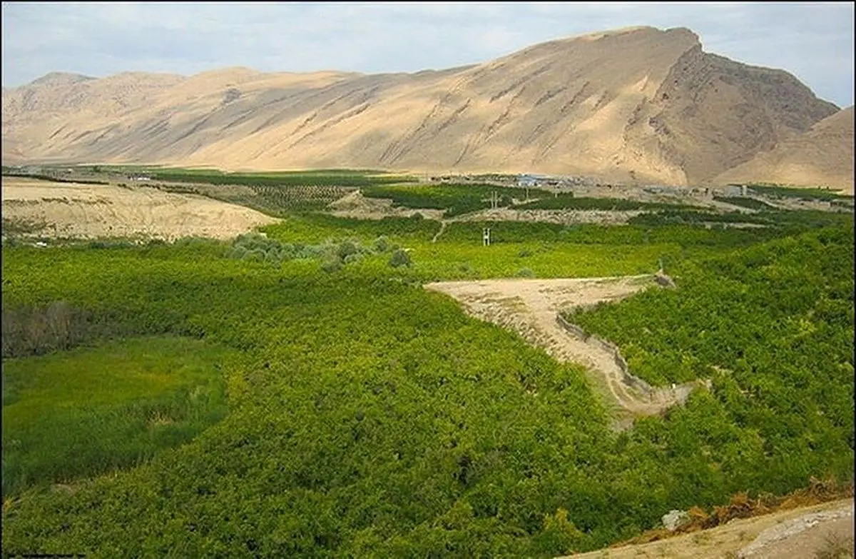 حفظ انفال و جلوگیری از تجاوز به اراضی ملی از اولویت‌های جدی دستگاه قضایی است