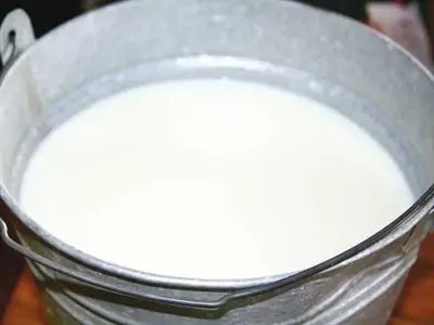 معدوم شدن ۱۲۰۰ کیلوگرم شیرخام آلوده در سبزوار 