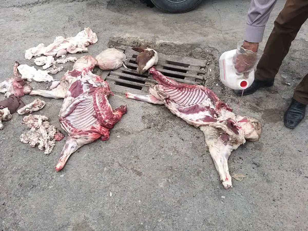 توقیف عرضه لاشه‌های غیر بهداشتی دام در میدان رسالت کرمانشاه  شد/حمله متخلفان به ماموران