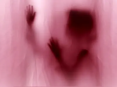 asdasd
