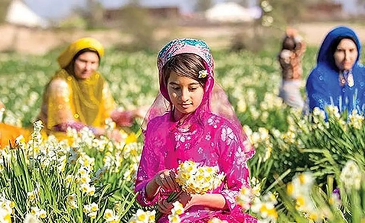 اردبیل، کردستان، کرمانشاه، کرمان و فارس میزبان بزرگداشت روز جهانی گردشگری