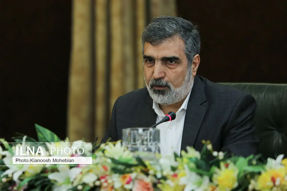 كمالوندي: اتفاقية الضمانات لا تستجيب لظروف ما بعد حرب الـ 12 يوما