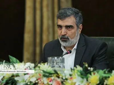 متحدث الطاقة النوویة الایرانیة ینصح غروسي بالتخلي عن مواقفه العاطفیة