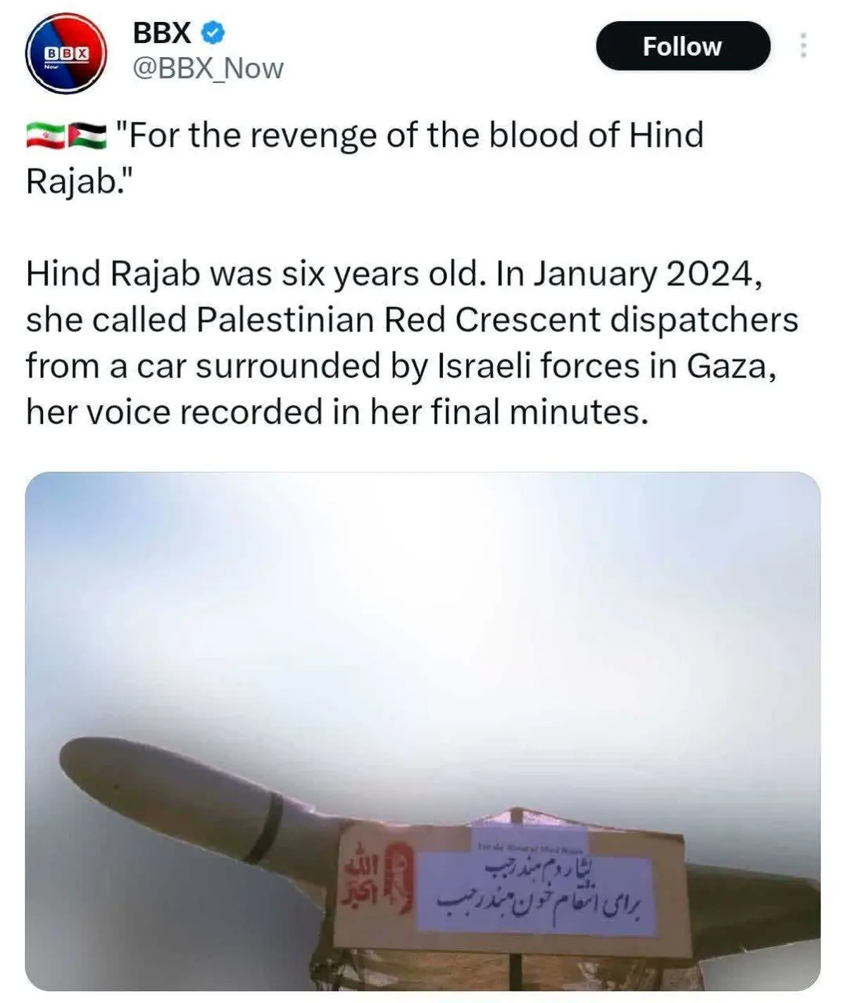 پوشش نوشته‌های روی پهپادهای ایرانی در اکانت‌های خارجی/ نقطه زنی فرهنگی پهپادهای شاهد