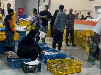 دروازه کازرون تعطیل شد؛ بوی نارضایتی در بازار پروتئین پیچید