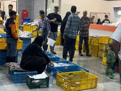 دروازه کازرون تعطیل شد؛ بوی نارضایتی در بازار پروتئین پیچید