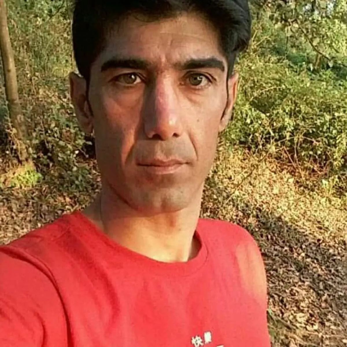 مرگ یک سیمبان دیگر/ این‌بار در قائم شهر