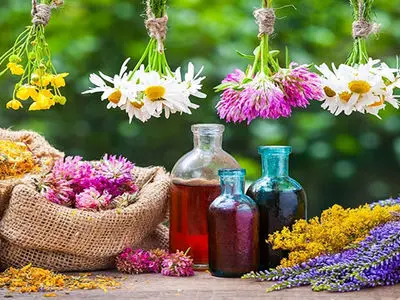 12 میلیون هکتار از اراضی کشور مستعد دیم‌کاری گیاهان دارویی / تأثیرگذاری در جلوگیری از فرسایش خاک