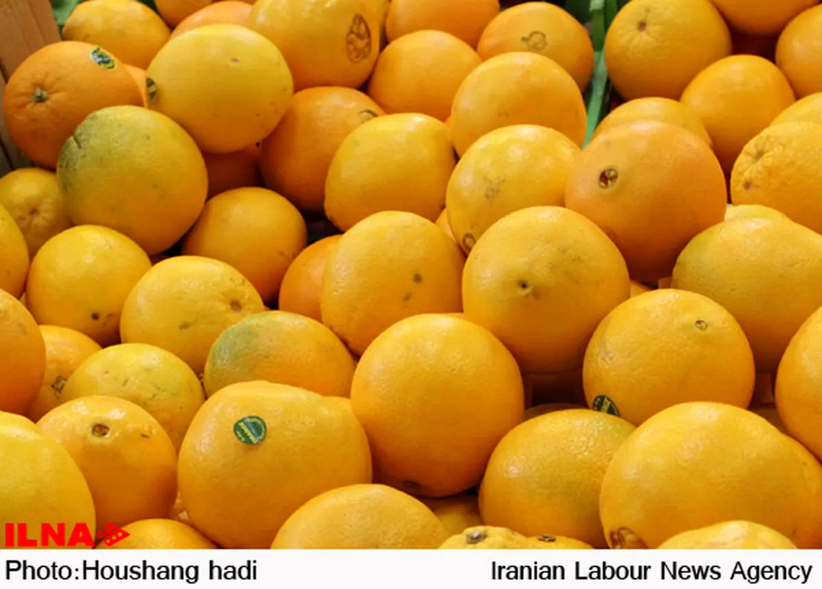 آشفته بازار پرتقال در روزهای پایانی سال
