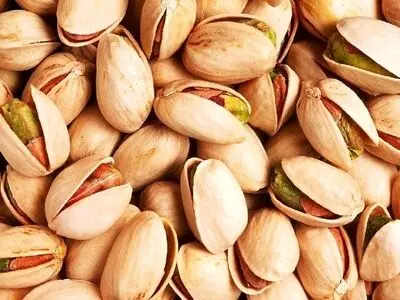صادرات ۳۴ میلیون یورویی پسته ایران به اروپا 