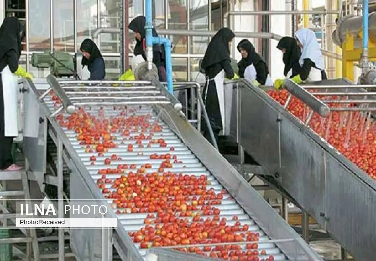 نبود بازار باعث خالی بودن ۴۲ درصدی ظرفیت صنایع آذربایجان شرقی