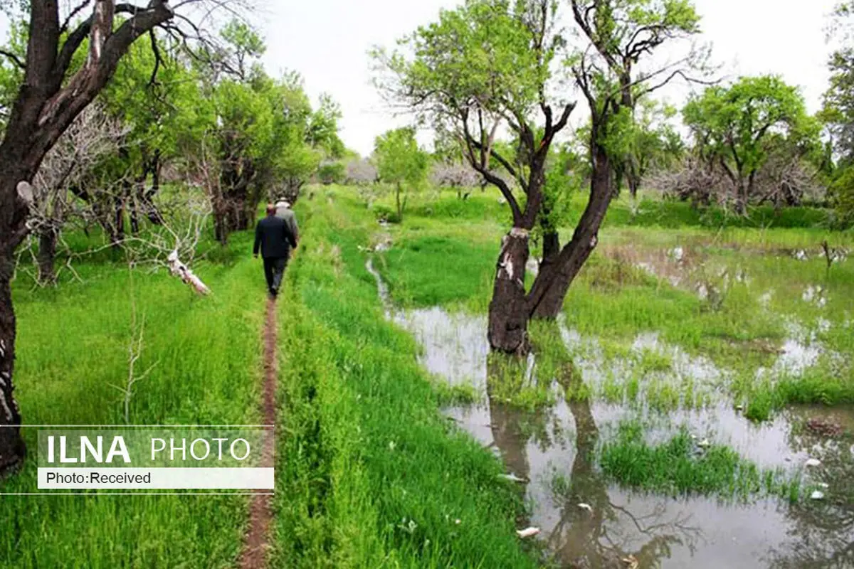  سهمیه آب باغستان سنتی قزوین افزایش یافت