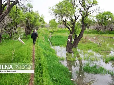تولید بیش از 400 هزار تن محصولات باغی در استان اردبیل  