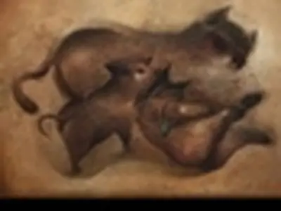 اسید آمینه‌های چمانی روی دیوار گالری نار