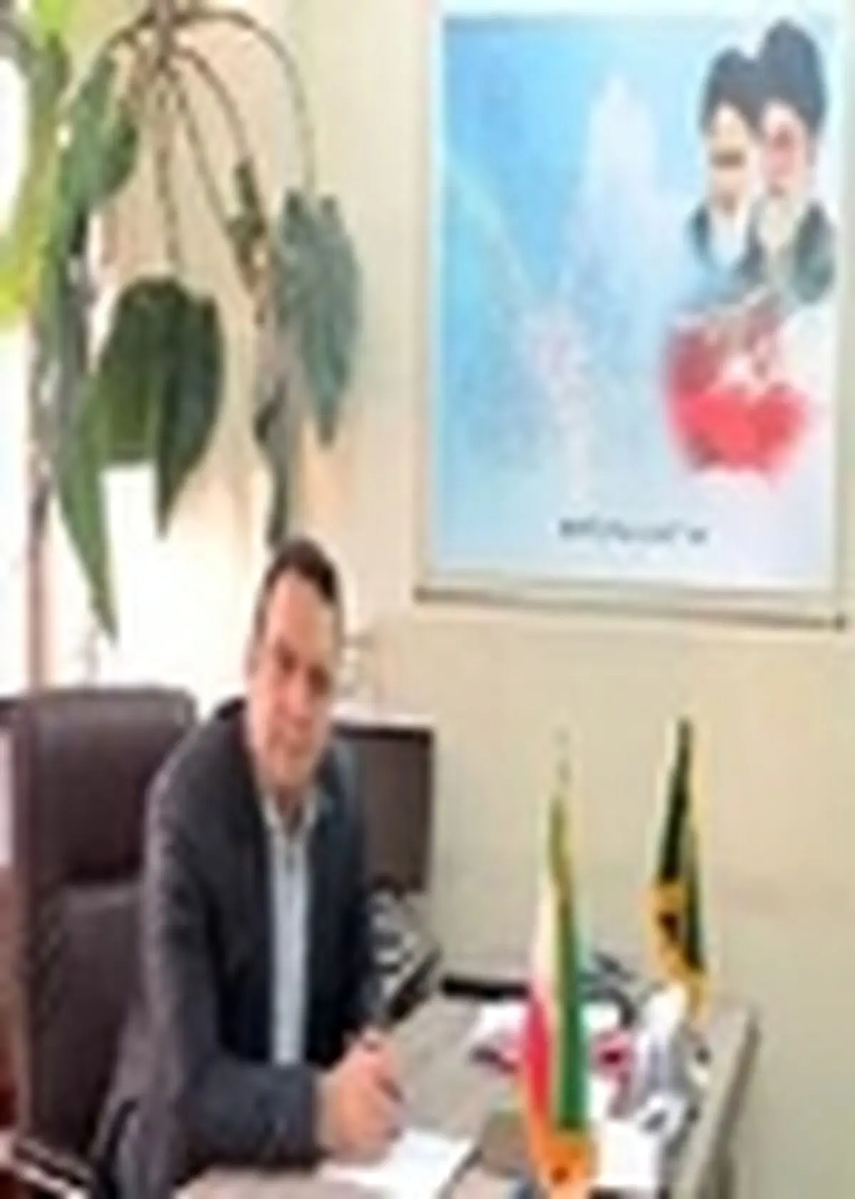 کشت باقلا در بیش از ۳۰۰ هکتار از زمین های کشاورزی شهرستان قائم شهر