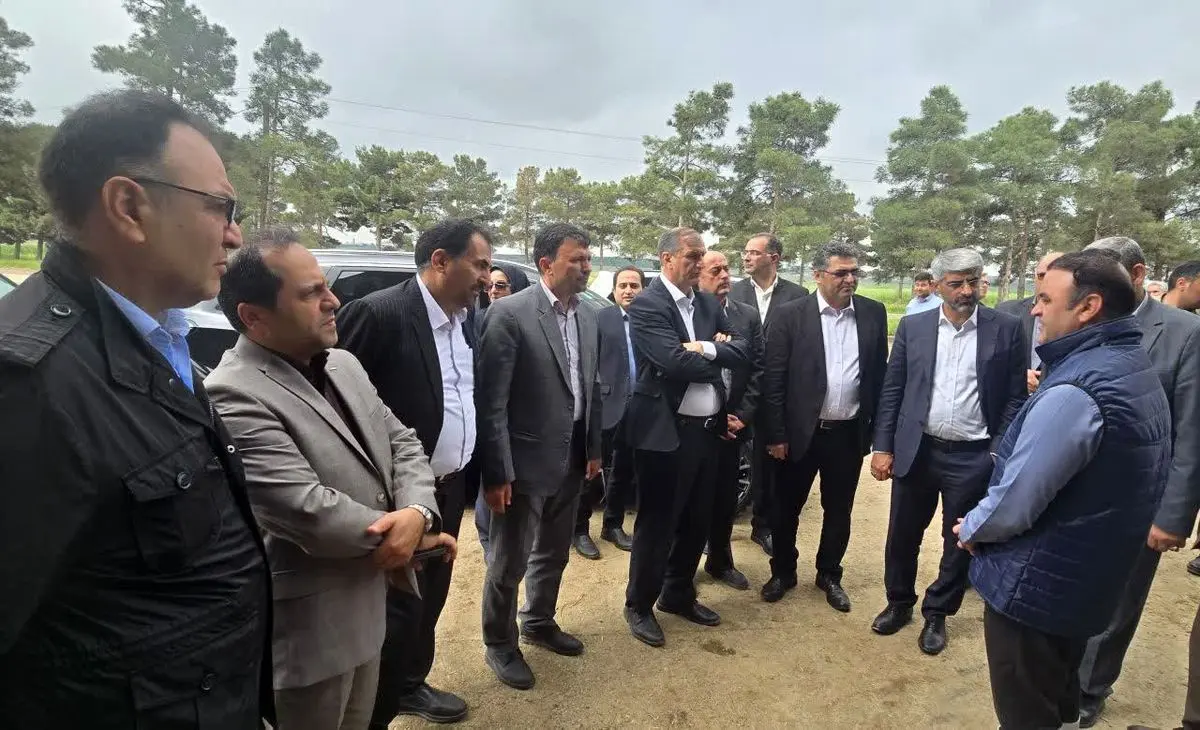 برنامهریزی برای صادرات محصولات گلخانه ای پارس آباد