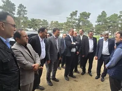 برنامه‌ریزی برای صادرات  محصولات گلخانه ای پارس آباد