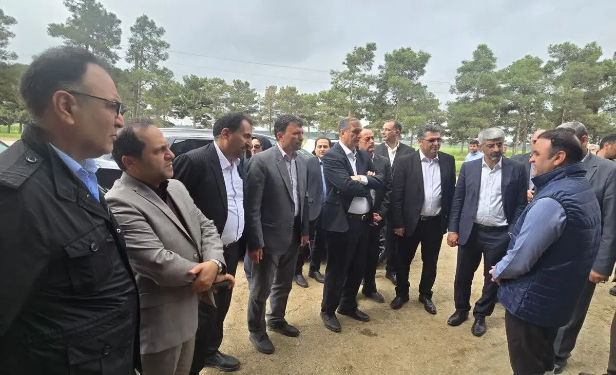 برنامه‌ریزی برای صادرات  محصولات گلخانه ای پارس آباد