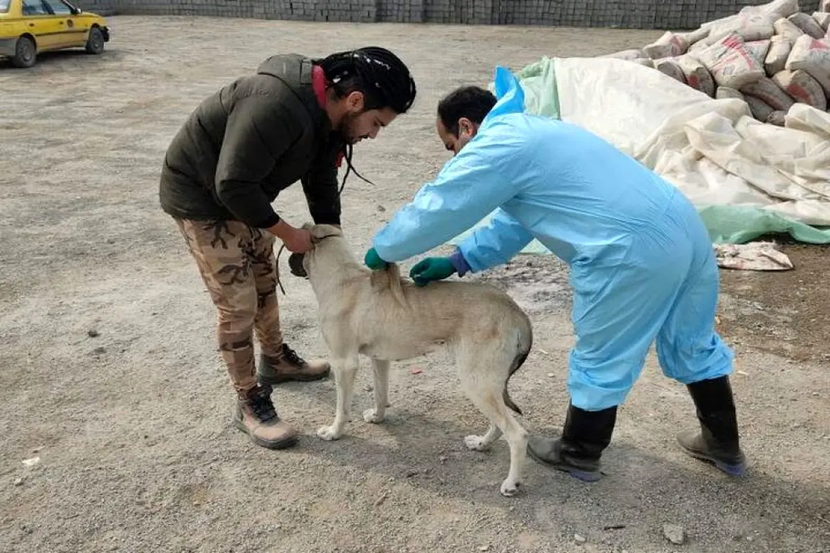واکسیناسیون سگ‌ها و گوشتخواران دهکده طبیعت باراجین علیه هاری
