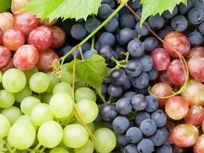 میوه پاییزی مفید برای چشم ها