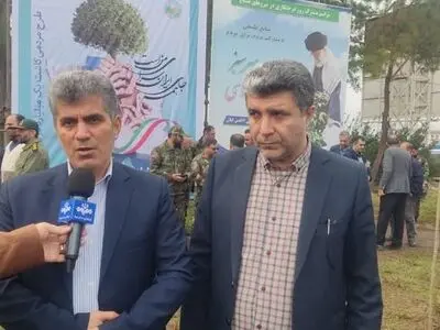 کاشت سالانه ۸ میلیون نهال در گیلان