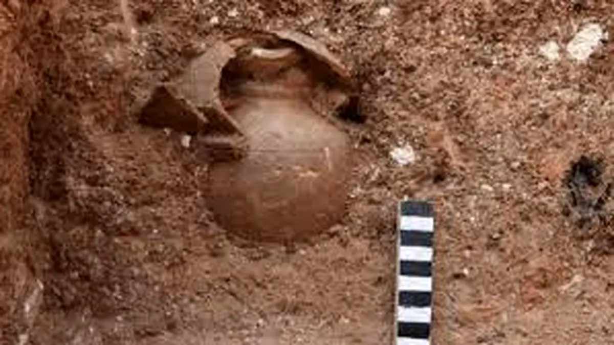  ماجرای کشف کوزه ساسانی در بوشهر پس‌از بارش‌های اخیر +فیلم