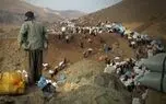 ترخیص لوازم خانگی ملوانی و کولبری مشمول استاندارد اجباری شد