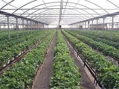 آذربایجان غربی پیشگام اجرای فناوری نوین تأمین آب و برق خورشیدی در واحدهای گلخانه‌ای