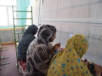 کیفیت‌بخشی به مشاغل روستایی با بیمه اجتماعی/ چگونه می‌توان بیش از 200 هزار شغل روستایی را پایدار کرد؟