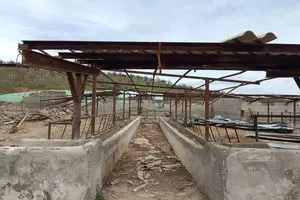 ۲ هزار میلیارد ریال خسارت به کشاورزی کنگاور در جنگ اخیر