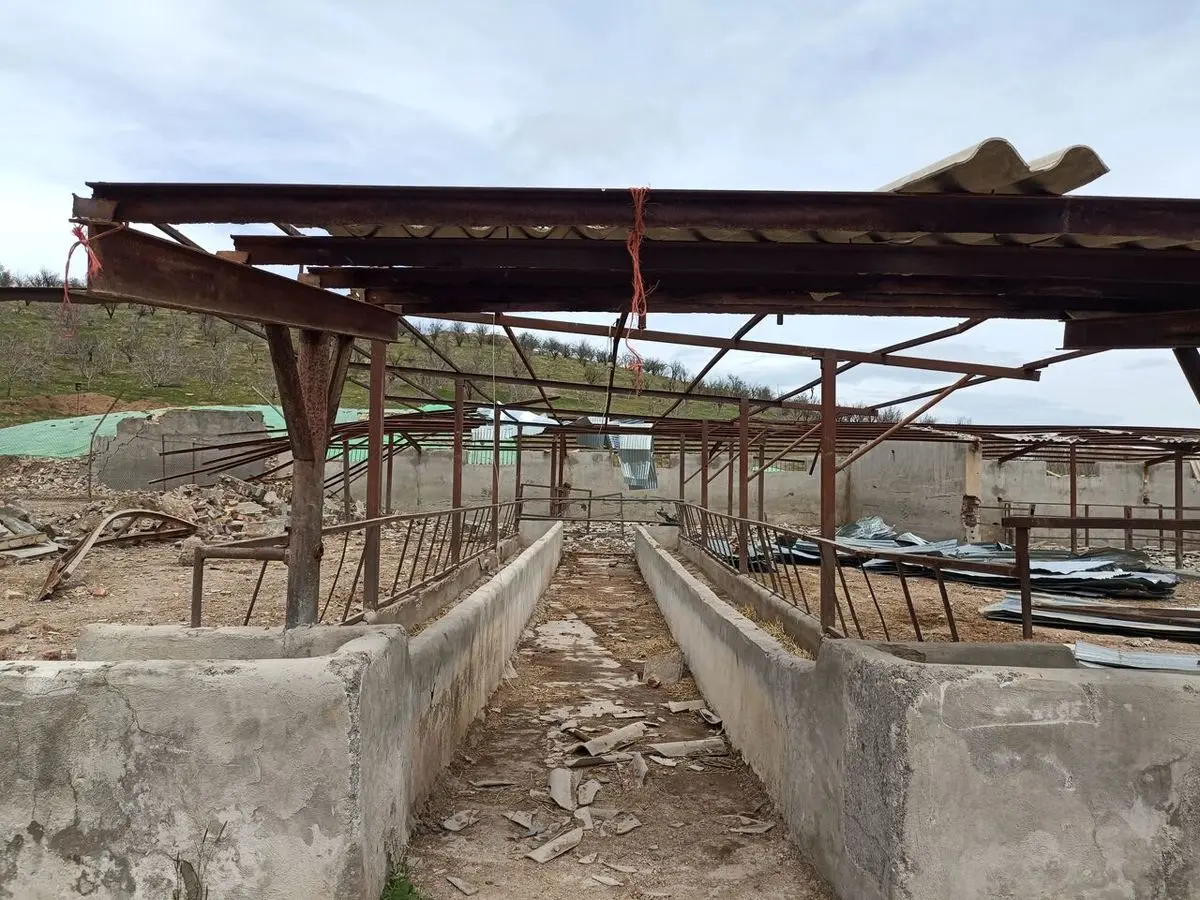 ۲ هزار میلیارد ریال خسارت به کشاورزی کنگاور در جنگ اخیر