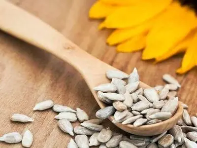 مصرف این تخمه روند پیری را کند می‌کند