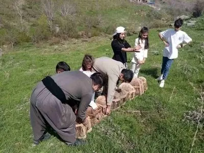 asdasd