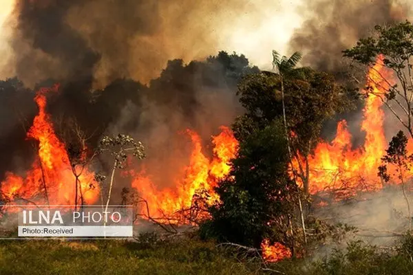 اعزام بالگرد برای مهار آتش در بخشی از جنگل‌های تنکابن مازندران