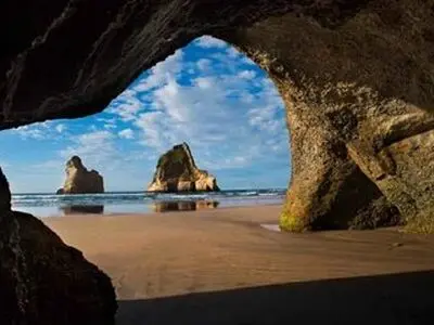 از صفحه ویندوز تا ساحل نیوزیلند / داستان یک عکس ماندگار