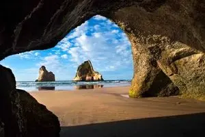 از صفحه ویندوز تا ساحل نیوزیلند / داستان یک عکس ماندگار