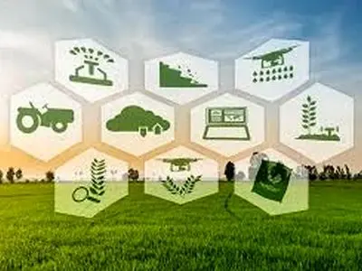 تداوم چرخه تولید در 255 واحد صنایع تبدیلی کشاورزی هرمزگان / حمایت از اقتصاد ملی در شرایط جنگ تحمیلی