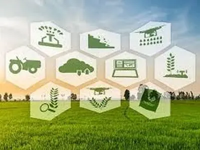 تداوم چرخه تولید در 255 واحد صنایع تبدیلی کشاورزی هرمزگان / حمایت از اقتصاد ملی در شرایط جنگ تحمیلی