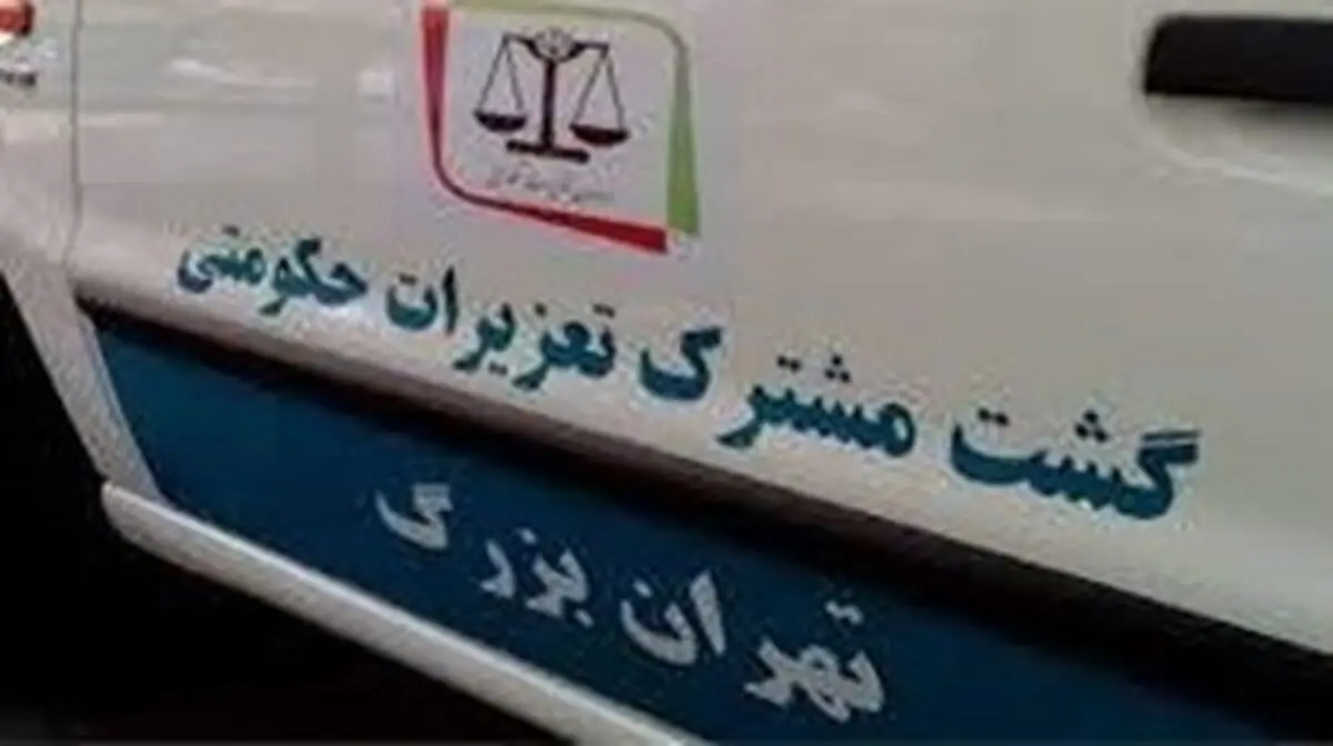 افزایش ۴ برابری گشت‌های مشترک تعزیرات در یک ماه