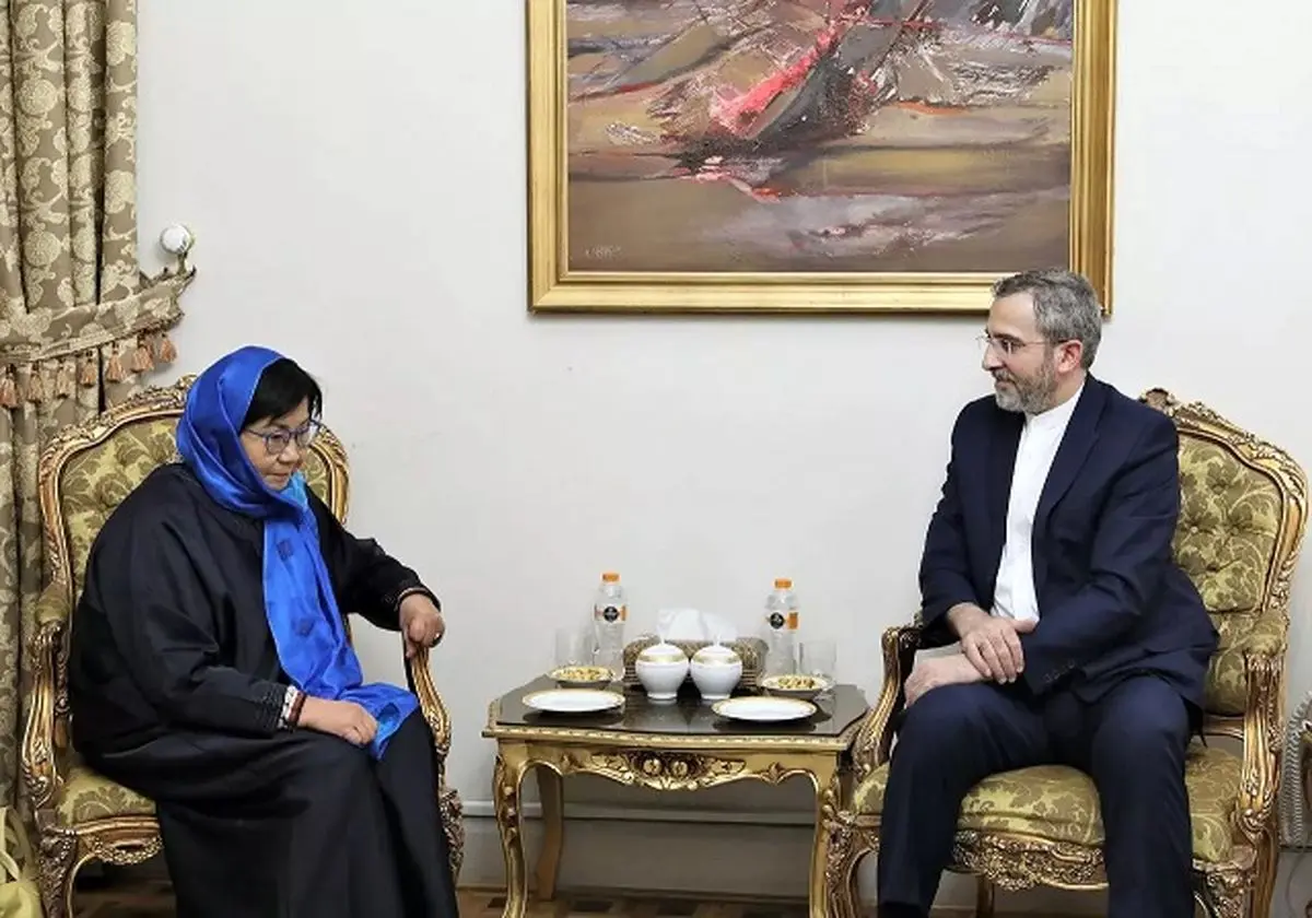 UN envoy for Afghanistan meets with Iran deputy FM