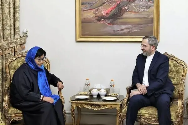 UN envoy for Afghanistan meets with Iran deputy FM