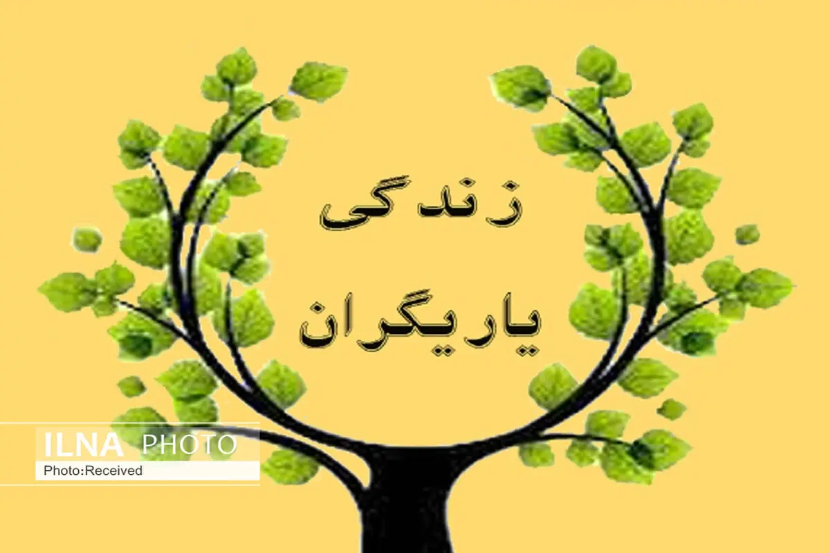 طرح کانون یاری‌گران زندگی در البرز نیازمند بومی سازی است
